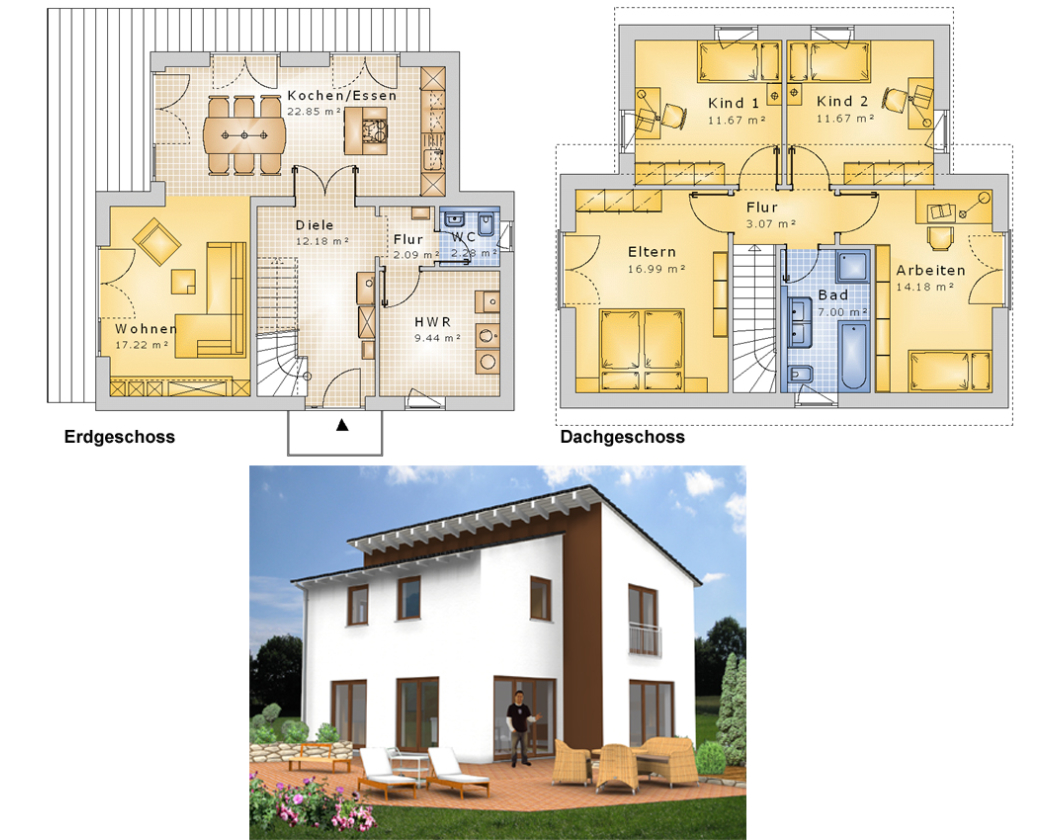 Planungsvorschlag Pultdachhaus 05: Grundriss und Ansicht